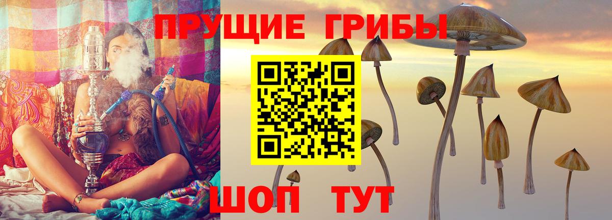 Псилоцибиновые грибы мицелий Чайковский